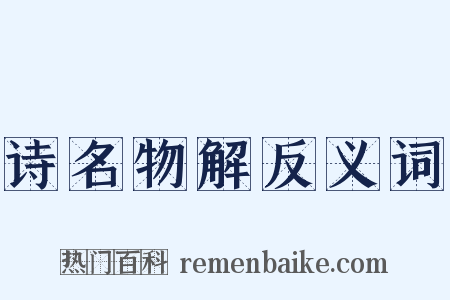 诗名物解反义词是什么意思的图片